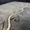 Elven Style Decorative Wooden Box