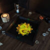 Glowing Dragon LED Dice Tray